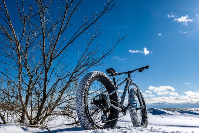WINTER UPDATE for bicycle couriers feature the last 10 entries from the blog & gives you the inside scoop of what we have been doing lately!