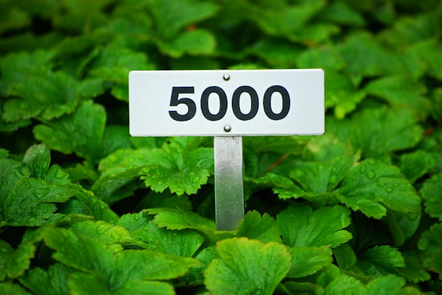 5000 bicycles and counting for bicycle couriers and we have learned quite a bit during the forming years - now for the next phase!